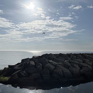 Kattegat Sea (adjacent to aquarium)
