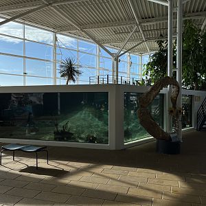 Tropical Lagoon Exhibit