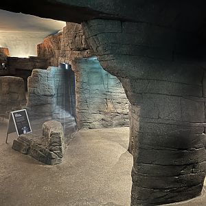 Gentoo Penguin Exhibit - New in 2022