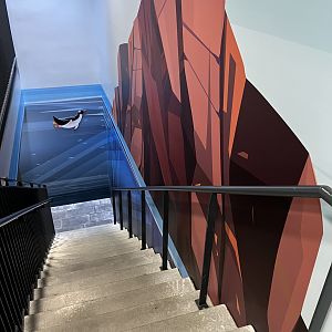 Gentoo Penguin Exhibit - New in 2022