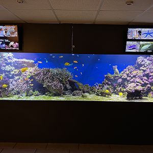 Coral Reef Exhibit