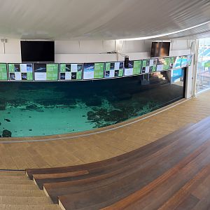 Oceanarium Tank (400,000 Gallons)