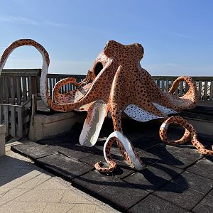 Octopus Play Area