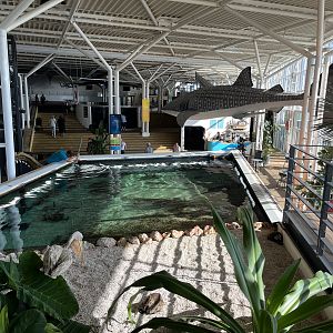 Tropical Lagoon - overhead view