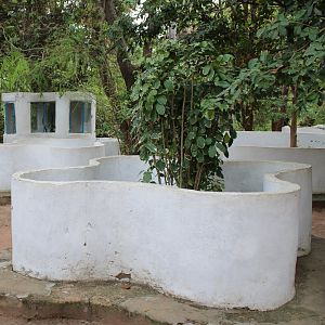 Enclosure Senegal chameleon