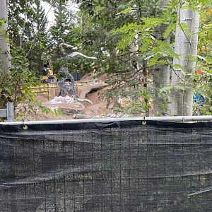 New Lynx Exhibit Construction