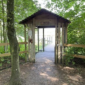 3.7 Acre European Grey Wolf Exhibit