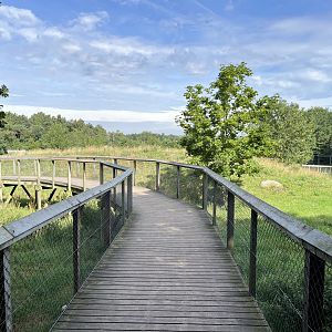 3.7 Acre European Grey Wolf Exhibit