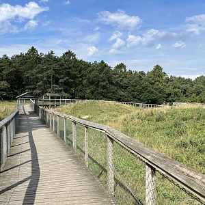 3.7 Acre European Grey Wolf Exhibit