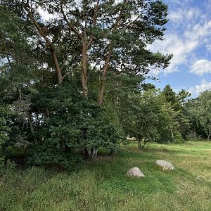 3.7 Acre European Grey Wolf Exhibit