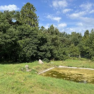 3.7 Acre European Grey Wolf Exhibit