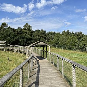 3.7 Acre European Grey Wolf Exhibit