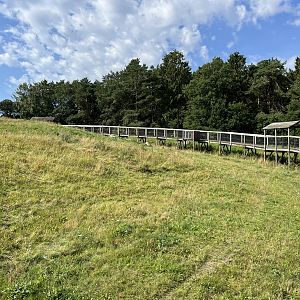 3.7 Acre European Grey Wolf Exhibit