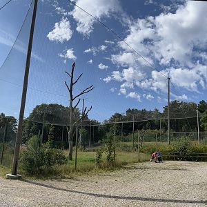 World’s Largest Steller’s Sea Eagle Aviary
