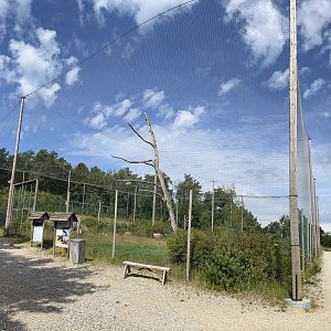 World’s Largest Steller’s Sea Eagle Aviary