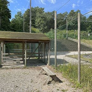 World’s Largest Steller’s Sea Eagle Aviary