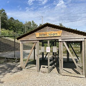 World’s Largest Steller’s Sea Eagle Aviary