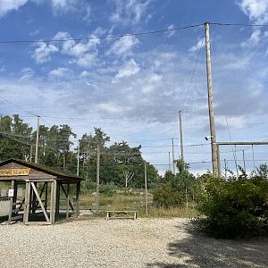 World’s Largest Steller’s Sea Eagle Aviary