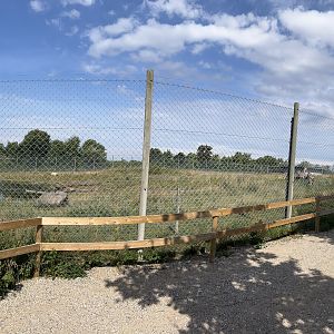 Polar Bear Exhibit #2