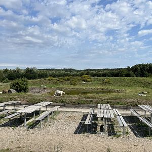 6 Acre Polar Bear Exhibit