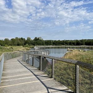 6 Acre Polar Bear Exhibit