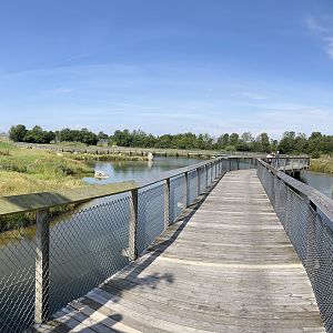 6 Acre Polar Bear Exhibit