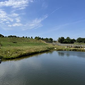 6 Acre Polar Bear Exhibit