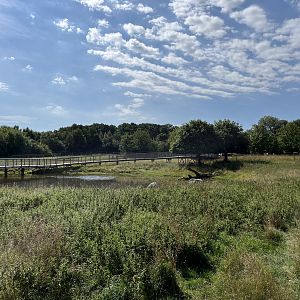 2.5 Acre Moose Exhibit
