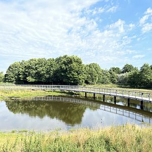 2.5 Acre Moose Exhibit