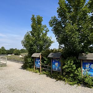 6 Acre Polar Bear Exhibit