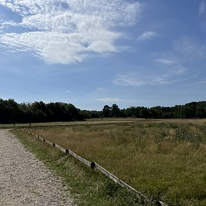 Red Deer Walk Through Exhibit