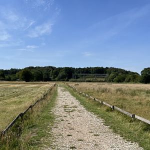 Red Deer Walk Through Exhibit