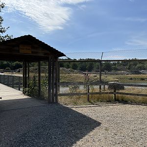 6 Acre Brown Bear Exhibit