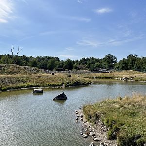 6 Acre Brown Bear Exhibit