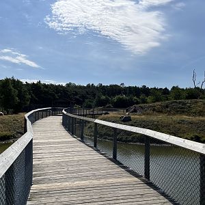 6 Acre Brown Bear Exhibit