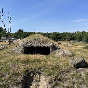 6 Acre Brown Bear Exhibit