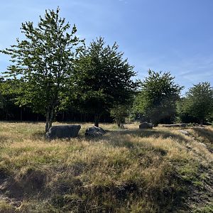 6 Acre Brown Bear Exhibit