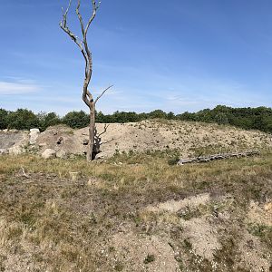 6 Acre Brown Bear Exhibit