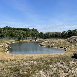 6 Acre Brown Bear Exhibit