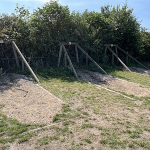 Place to leash pet dogs