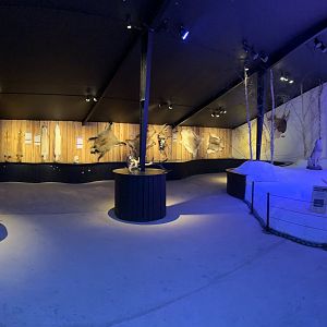 Native Mammal Interpretative Display