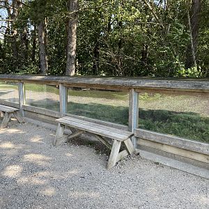 Grass Snake + Viper Exhibit