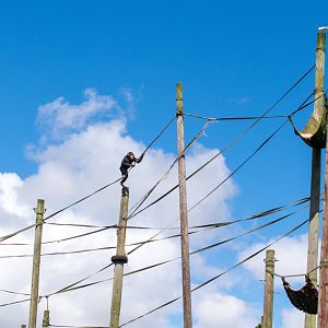 Chimpanzee Climbing Frame