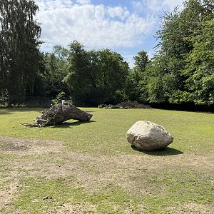 Darwin’s Rhea/Capybara Exhibit