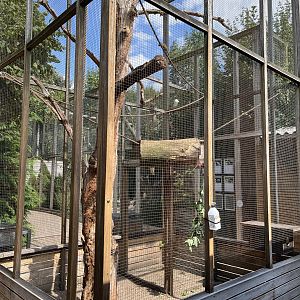 Swinhoe’s Striped Squirrel Exhibit