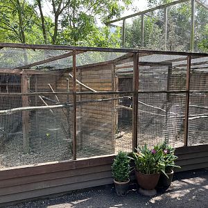 White-faced Saki/White Tufted-ear Marmoset Exhibit