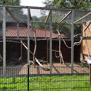 Asian Palm Civet Exhibit