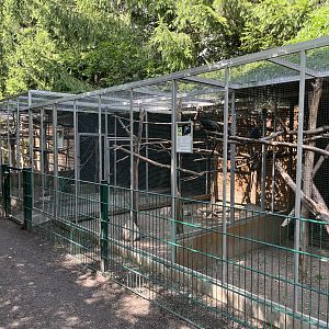 Assorted Primate Exhibits