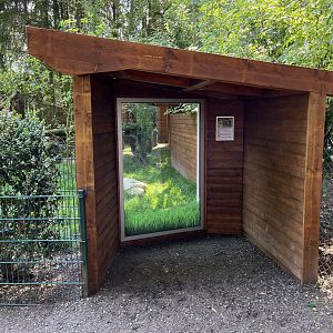 Brown Dorcopsis Exhibit