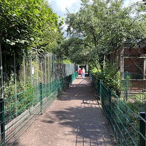 Assorted Primate Exhibits